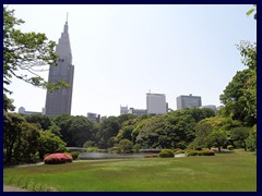 Shinjuku Gyoen 12